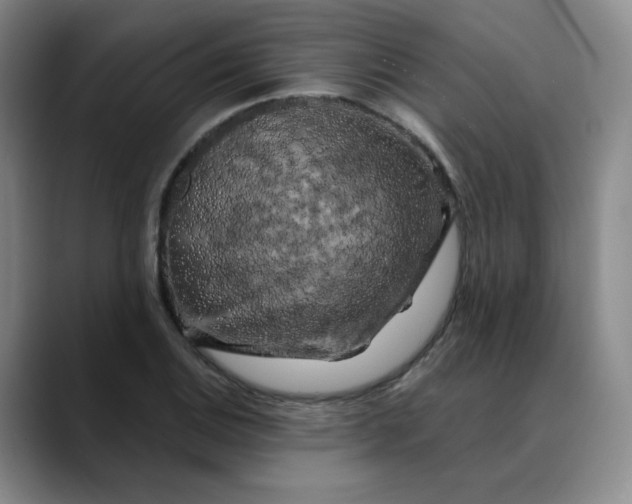 X0000088691124200706141407