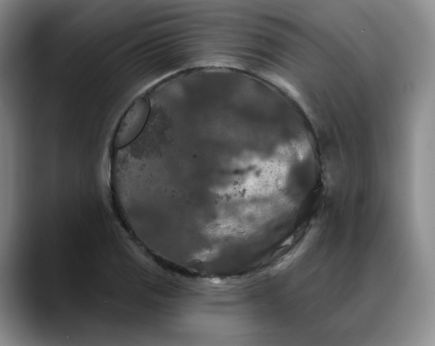 X0000088691125200706141407