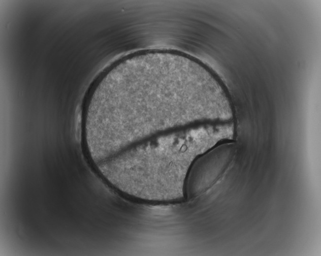 X0000088691126200706141407