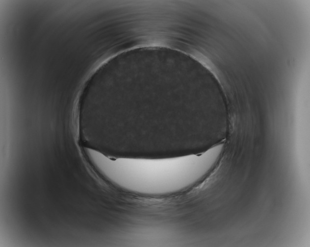 X0000088691127200706141407