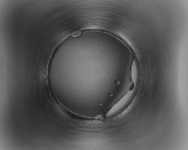 X0000088691129200706141407