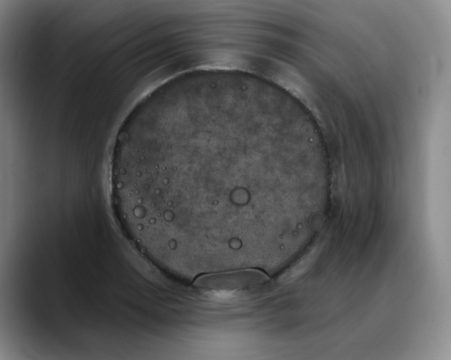 X0000088691130200706141407