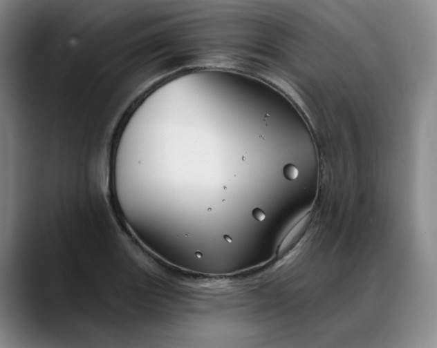 X0000088691131200706141407
