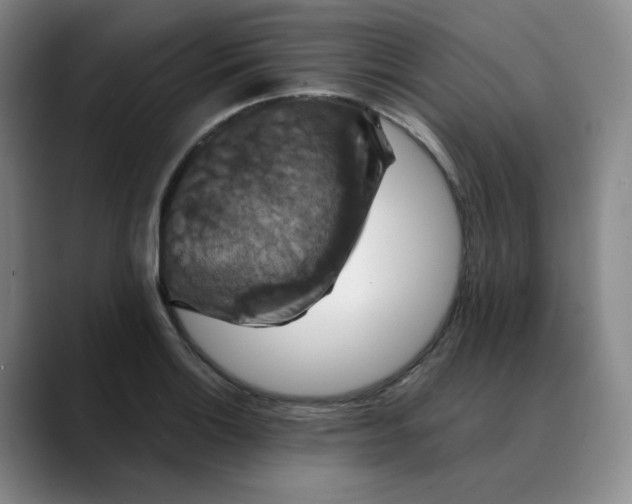 X0000088691132200706141407