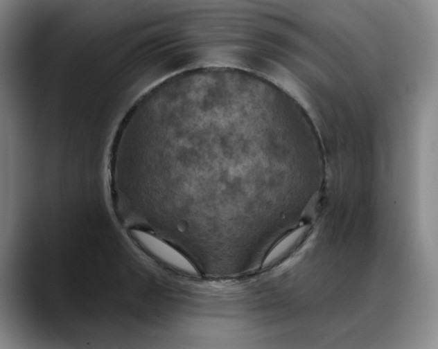 X0000088691133200706141407