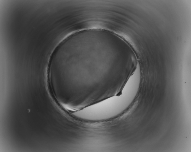 X0000088691134200706141407