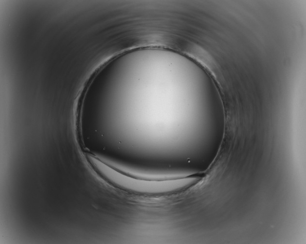 X0000088691135200706141407
