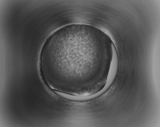 X0000088691136200706141407
