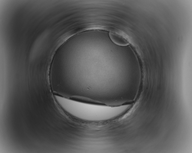 X0000088691137200706141407