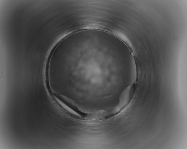 X0000088691138200706141407