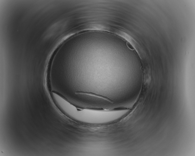 X0000088691139200706141407