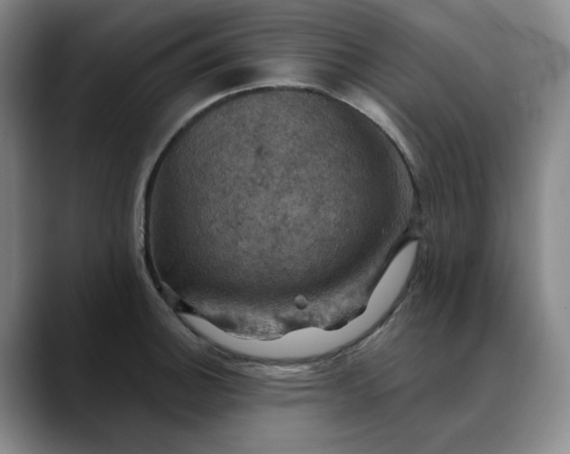 X0000088691140200706141407