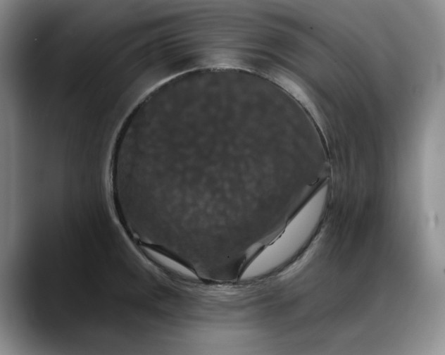 X0000088691141200706141407