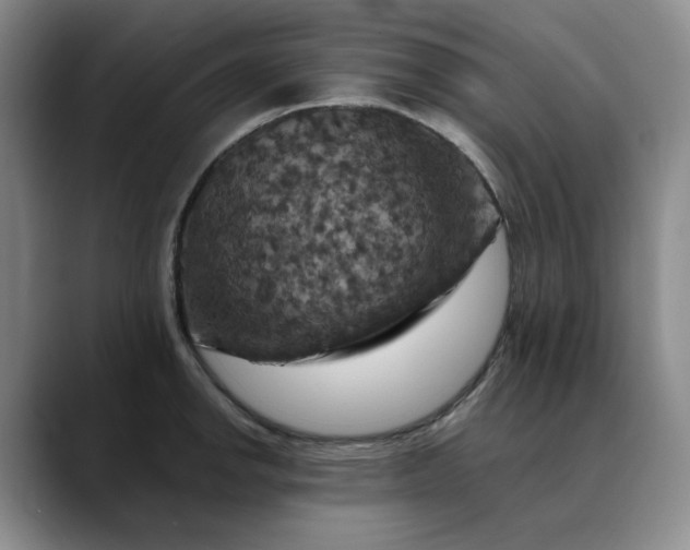 X0000088691142200706141407
