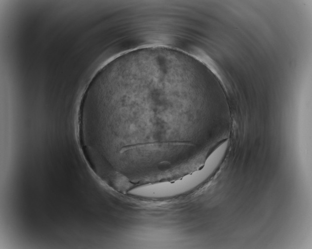 X0000088691143200706141407