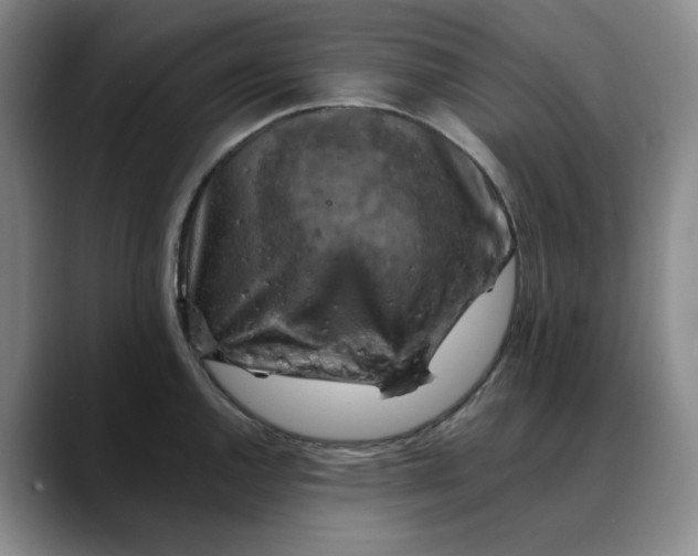 X0000088691144200706141408
