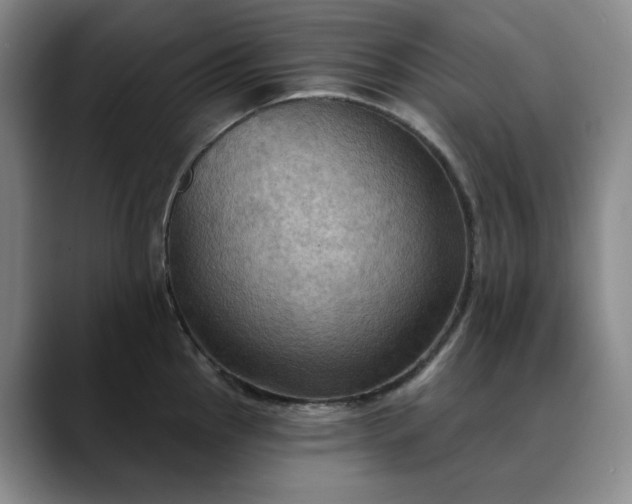 X0000088691145200706141408