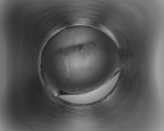 X0000088691146200706141408