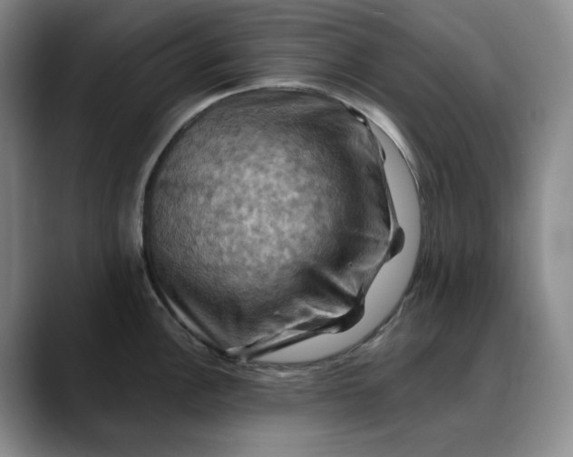 X0000088691148200706141408