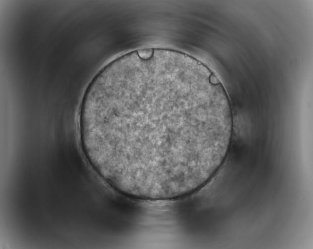 X0000088691150200706141408