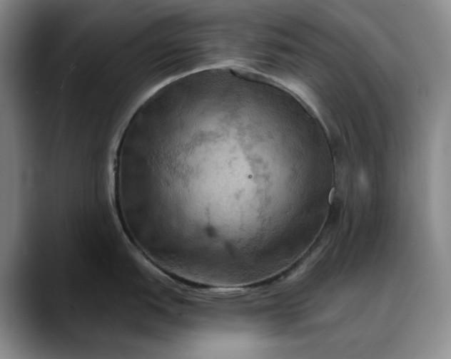 X0000088691151200706141408