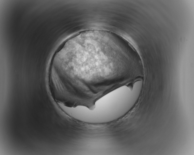X0000088691152200706141408