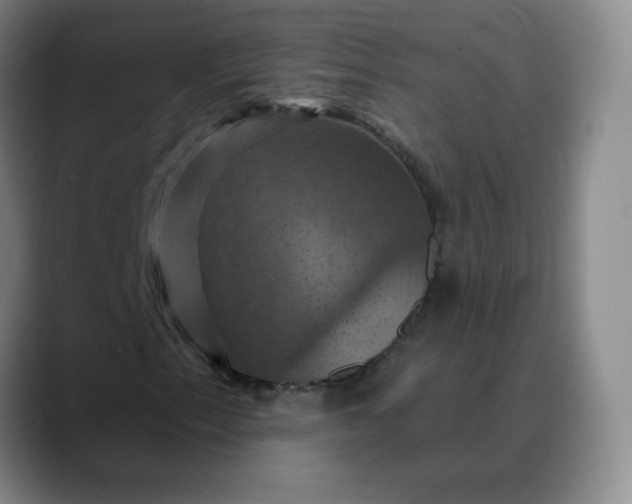 X0000088691153200706141407