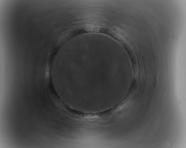 X0000088691154200706141407
