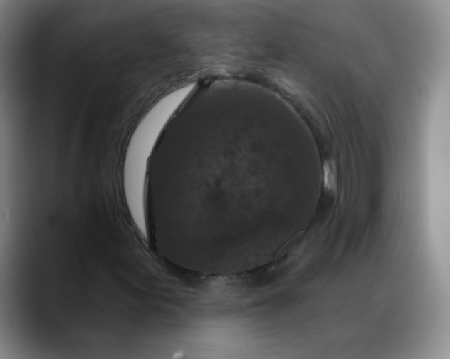 X0000088691155200706141407