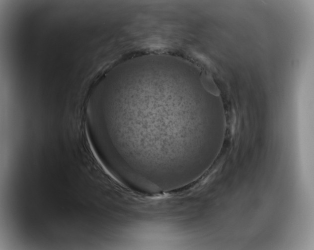 X0000088691157200706141407