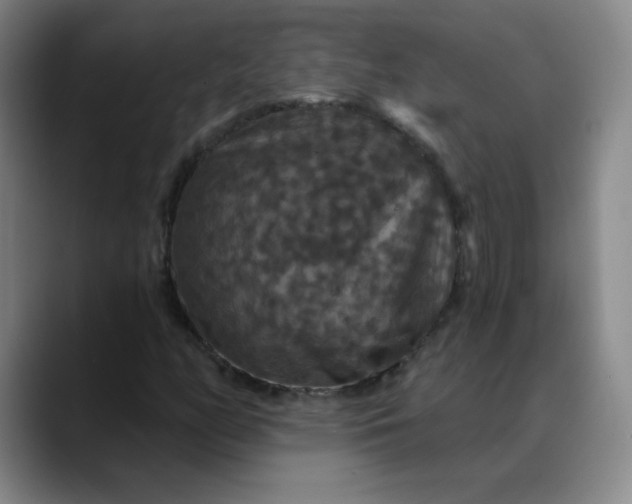 X0000088691158200706141407