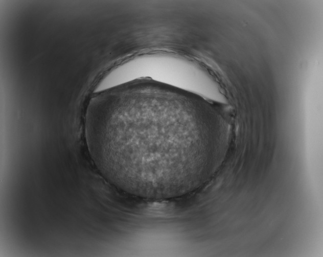 X0000088691160200706141407