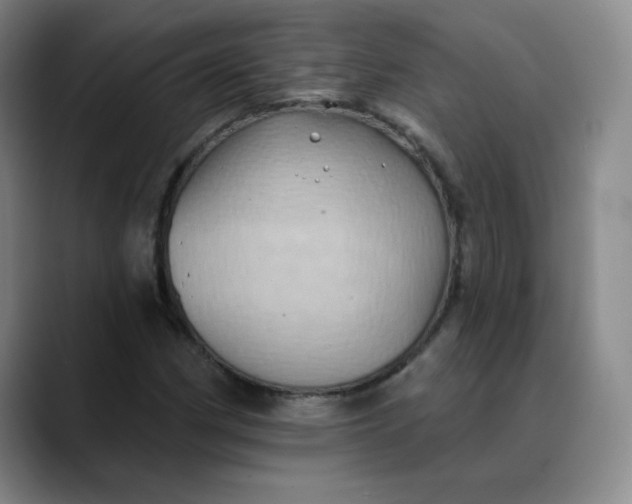 X0000088691162200706141407