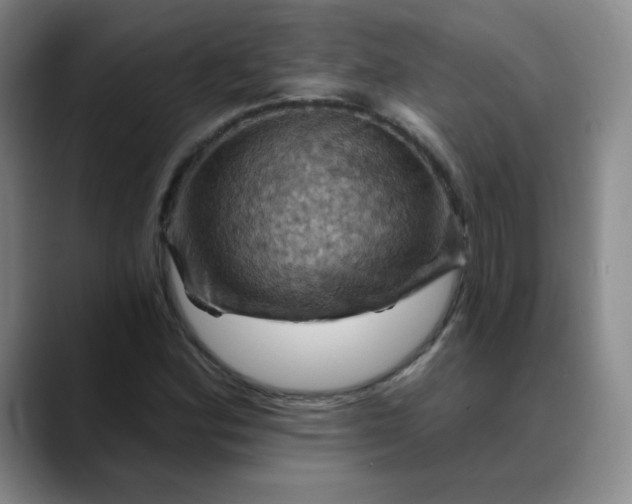 X0000088691164200706141407