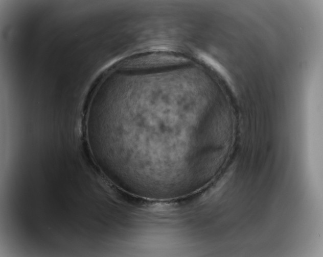 X0000088691166200706141407