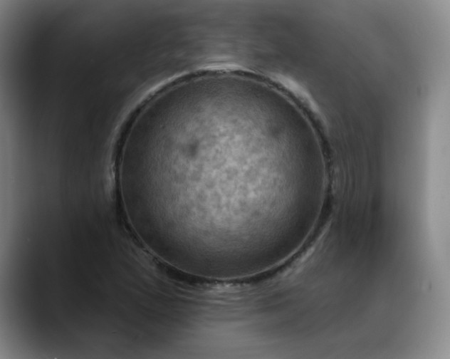 X0000088691167200706141407
