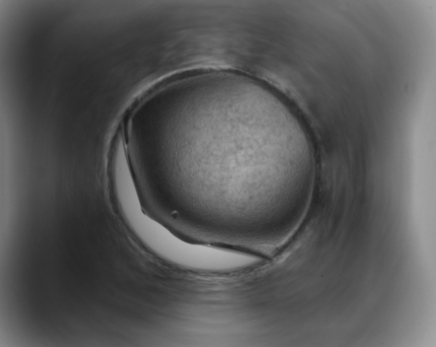 X0000088691168200706141407
