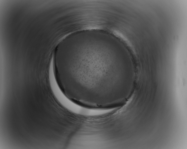 X0000088691169200706141407