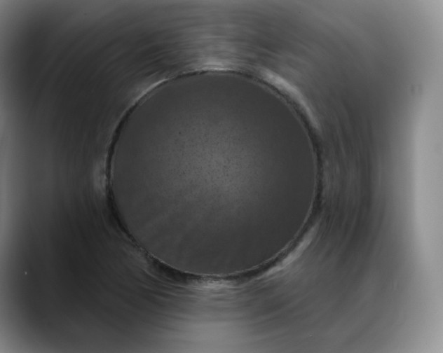 X0000088691170200706141407