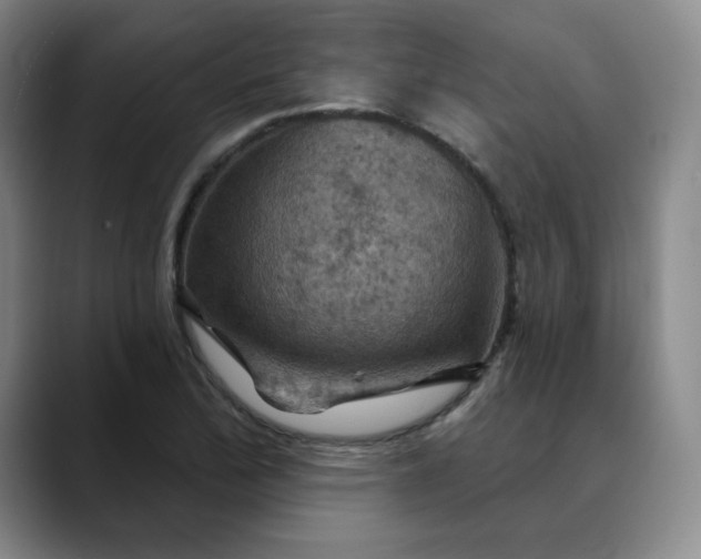 X0000088691172200706141407