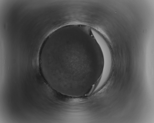 X0000088691173200706141407