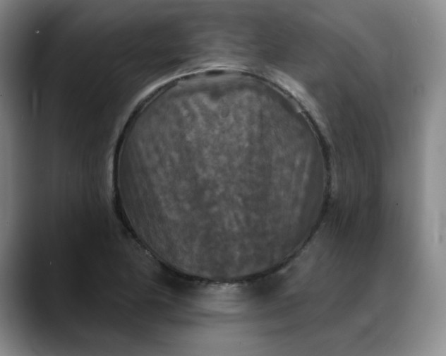 X0000088691174200706141407