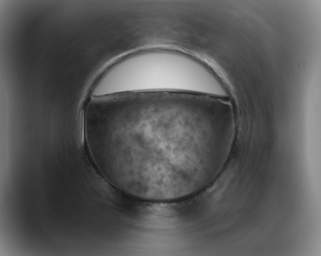 X0000088691175200706141407