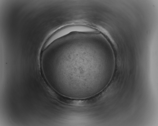 X0000088691176200706141407