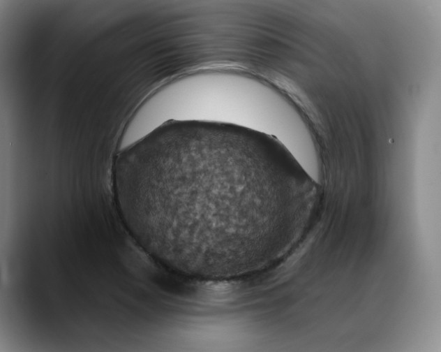 X0000088691177200706141407