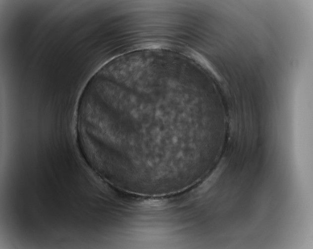 X0000088691178200706141407