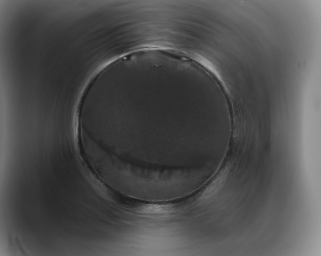 X0000088691179200706141407