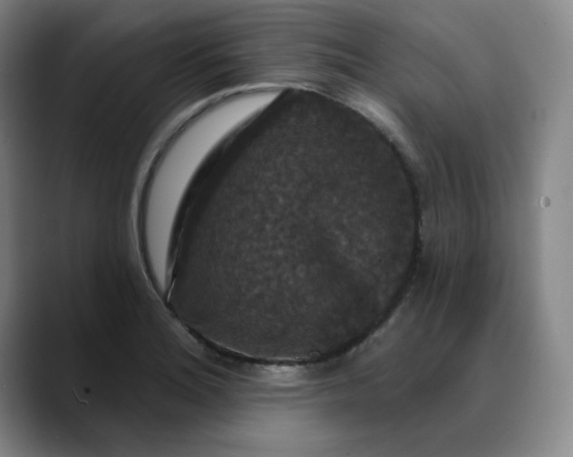 X0000088691180200706141407