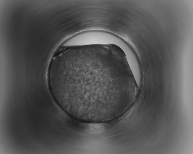 X0000088691181200706141407