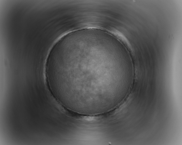 X0000088691182200706141407